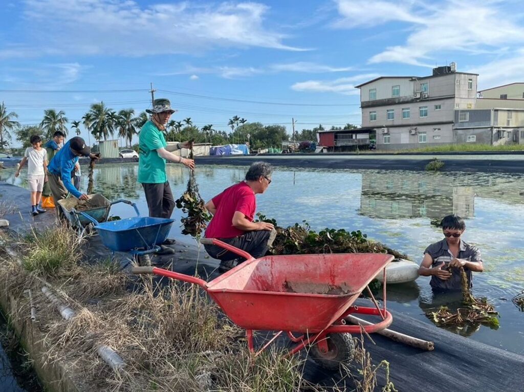 讓水雉與草鴞「安居樂業」守護農地　「生態給付」獎勵補助啟動-歡迎農民申請
