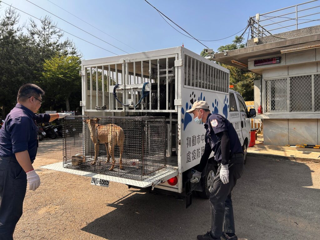 抓到了！　中市清潔隊追查丟垃圾亂象-幕後主謀竟是「牠」