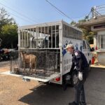 抓到了! 中市清潔隊追查丟垃圾亂象-幕後主謀竟是「牠」