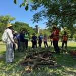 北市公園處開辦鏈鋸訓練　培訓防汛救災尖兵