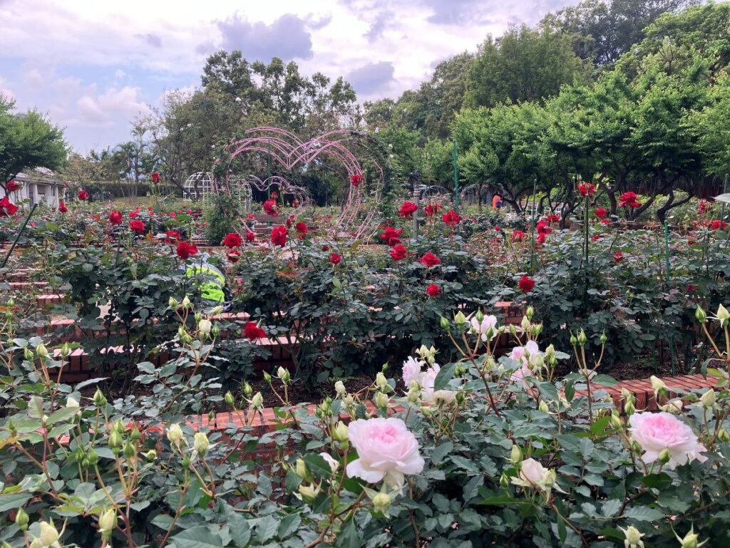 士林官邸1號固定公廁全新亮相 首設久待示警功能 看顧長者安全