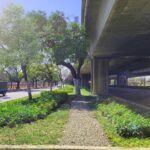 公私協力綠化橋下空間　中市建設局積極推動「台74綠指環」計畫