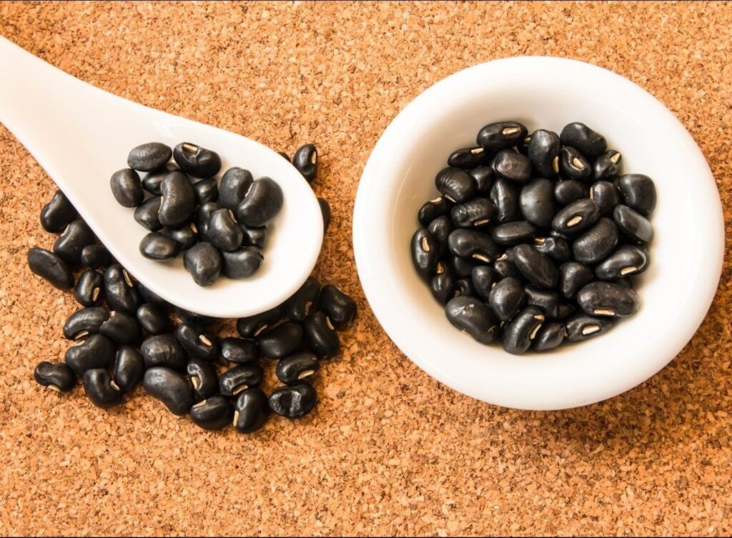 嘉基與中興大學合作　黑豆種皮研發獲9項專利