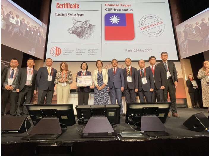 拔針成功！台灣成亞洲唯一3大豬病非疫國