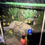 嘉義檢警聯手查獲大麻種植場 男子私運種子進口栽種販售遭起訴