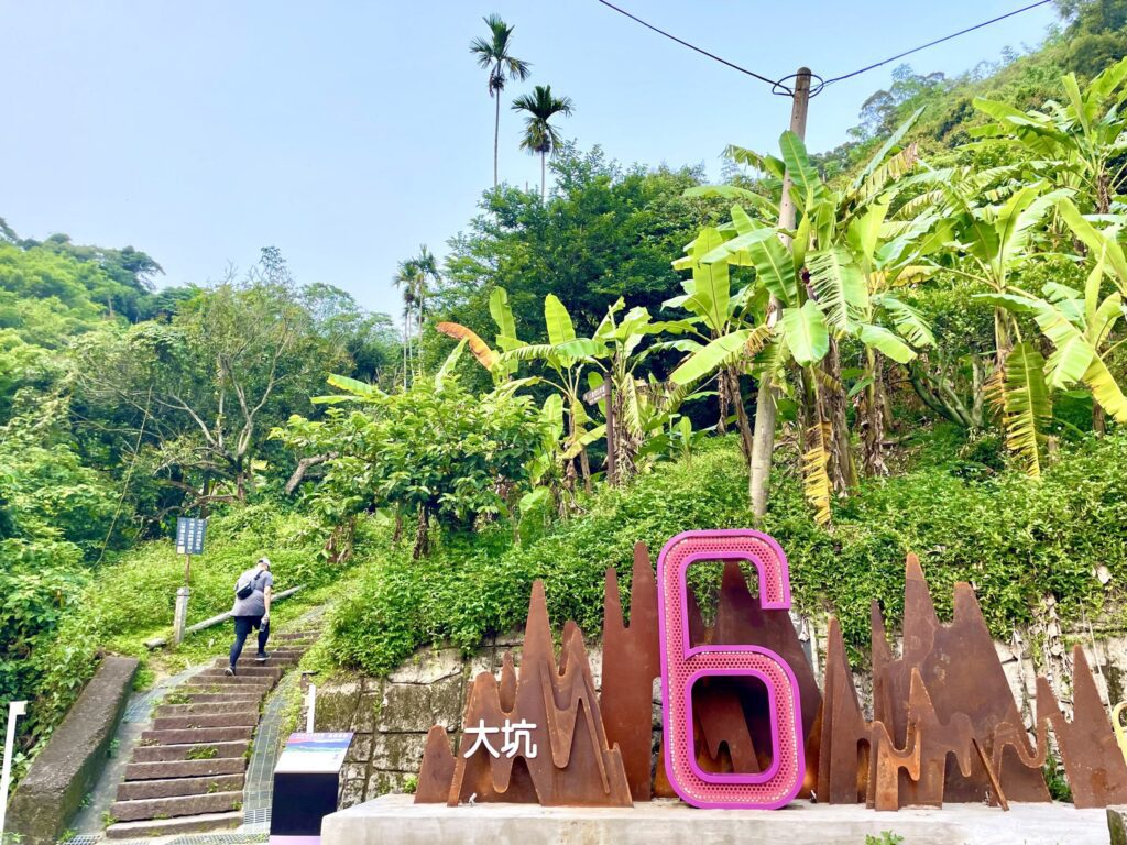 登仙境、賞生態、嚐美食! 中市觀旅局邀民眾走進大坑6號仙境步道