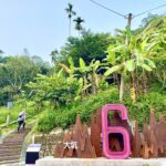 登仙境、賞生態、嚐美食！　中市觀旅局邀民眾走進大坑6號仙境步道
