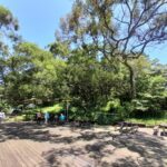 6月初夏小旅行　飛龍步道生態導覽歡迎報名