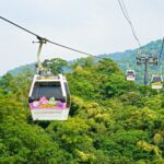 注意！貓空纜車6/16起年度檢修　暫停營運至6/30