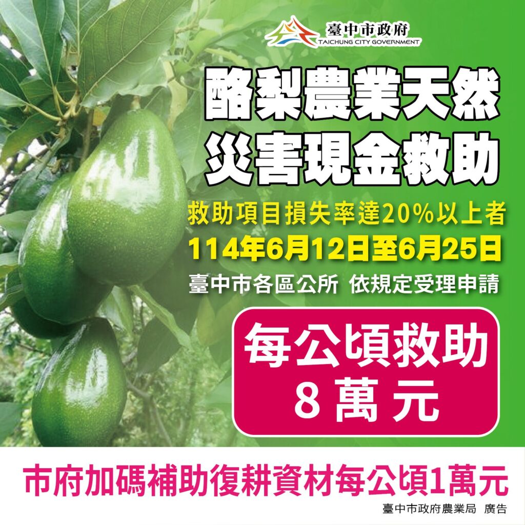 中市酪梨災損6/25前可申請現金救助 農業局加碼補助復耕