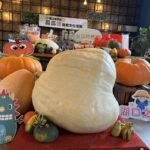 湖口瓜瓜節周末好客園區登場-邀鄉親來吃瓜玩瓜