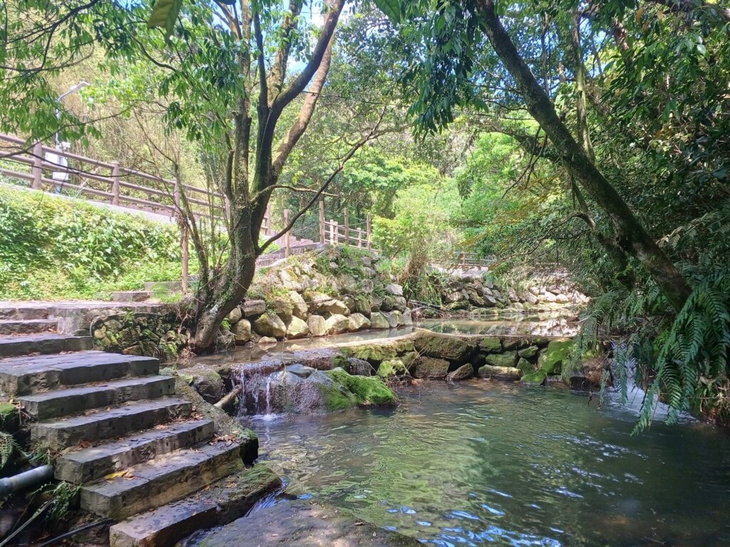 繡球花開迎初夏 北投湖田打造農村風情慢旅日常