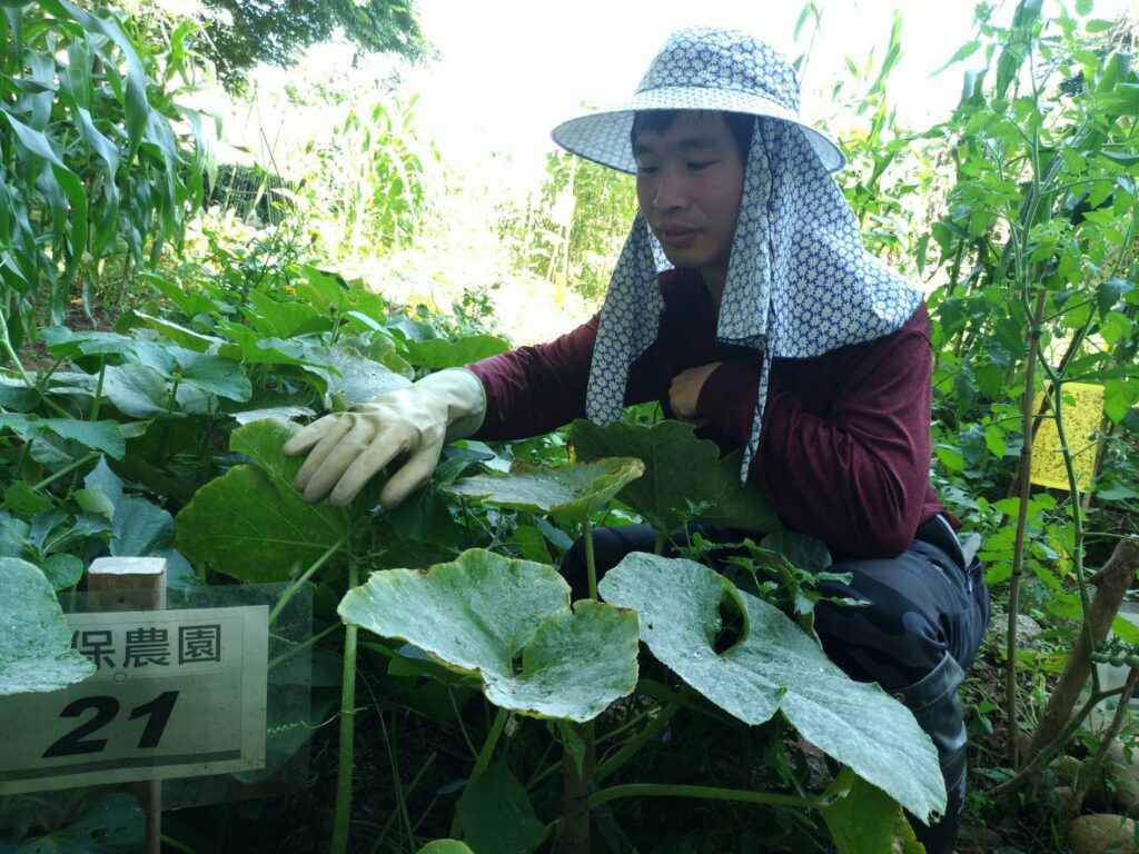 台中環保農園限時報名 30名市民免費享農趣5個月