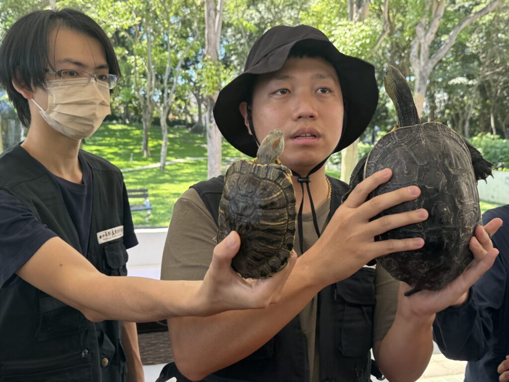 守護原生生態提升保育行動力!- 中市建設局辦「斑龜辨識教育訓練」