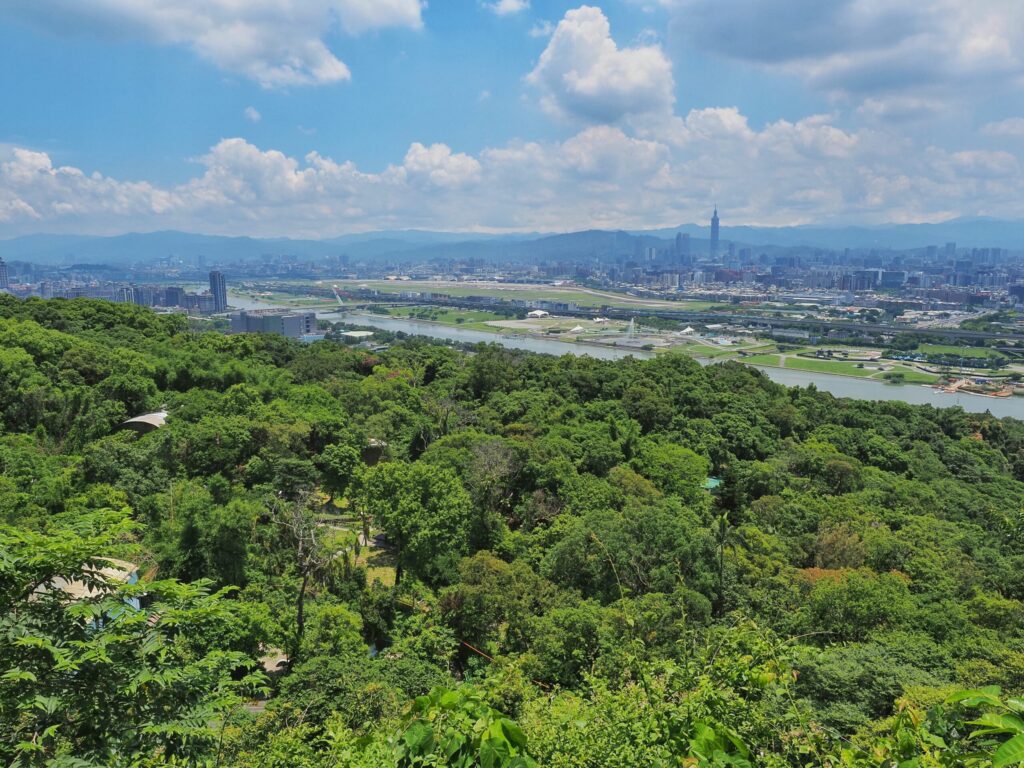夏至樹影最長情!大地處邀您走入山林看見臺北綠亮點