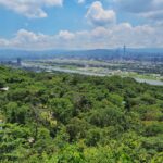 夏至樹影最長情！大地處邀您走入山林看見臺北綠亮點