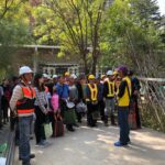 樹木健康我把關! 中市建設局全面防治褐根病守護市民安全