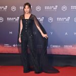 第36屆金曲獎登場-星光大道星光熠熠-圖片專輯