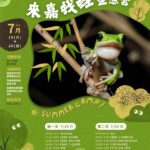限額40人！嘉市博物館辦「來嘉找蛙」生態營　認識諸羅樹蛙魅力