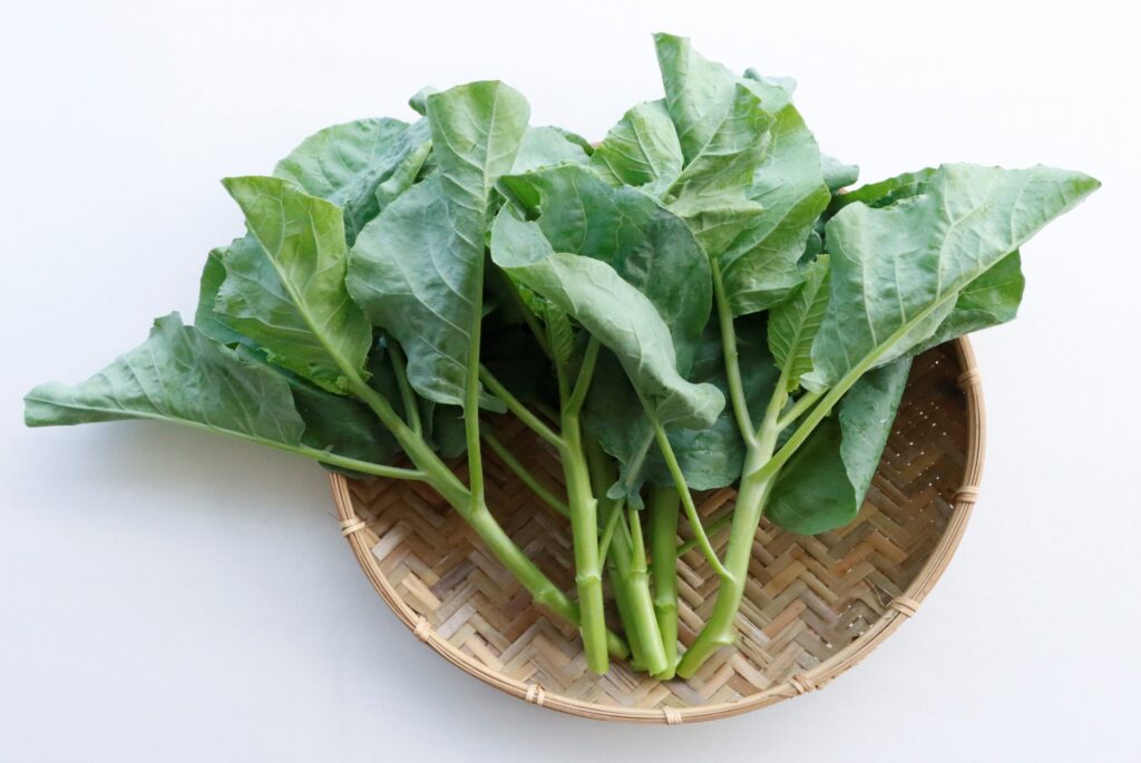 夏季耐熱耐濕葉菜首選~芥藍臺南1號