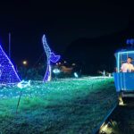 深澳鐵道自行車夏夜山海騎 「鯨」艷登場 浪漫「騎」蹟明啟程