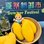 高雄金煌芒果啟動外銷-7月首航新加坡