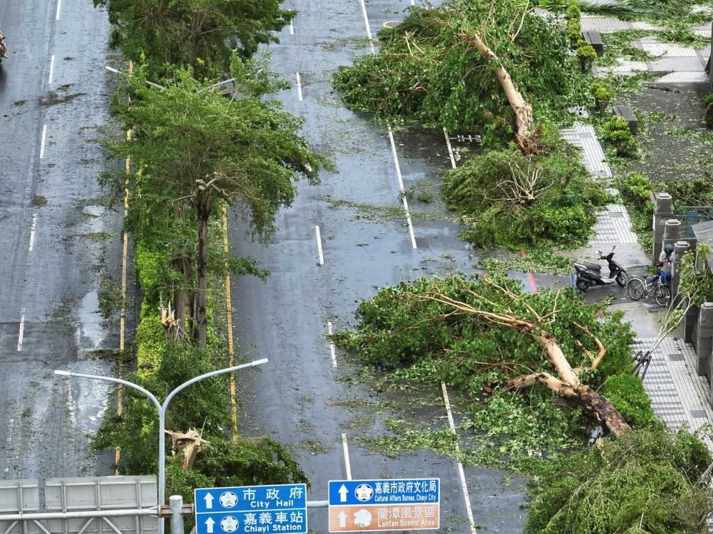 颱風丹娜絲侵襲 嘉市多處樹倒災情 蘭潭步道全面封閉搶修
