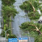 颱風丹娜絲侵襲 嘉市多處樹倒災情 蘭潭步道全面封閉搶修