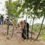 移工走入山林　貓空一日筍農體驗　感受臺北別樣風情