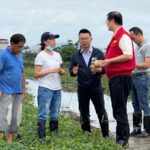 高雄市羅副市長前往產區關心農損情形-囑咐加速辦理農損
