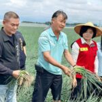 丹娜絲重創雲林農業　丁學忠籲啟動「全品項、免現勘」救助機制