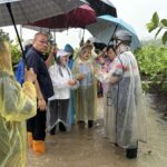 農損破2.6億未列全品項救助　張麗善轟中央救助不公