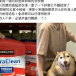 就是這款！除臭去污超猛　好市多洗衣球獲封隱藏寶物