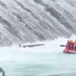 勇消為救人2人殉職　新北市府依法成立災害事故調查會