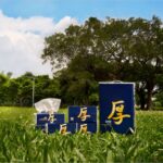 永豐餘五月花公益捐贈活動-響應『全家一起看見台灣』-環境關懷公益計畫