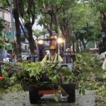 城鎮韌性演習停辦 嘉義市全力投入風災復原