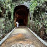 生態優先！劉銘傳隧道暫停開放　守護野生動物繁殖期