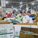 風災後菜價波動　北市啟動平價措施助民省荷包