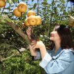 中台灣四縣市合體進軍港澳！　台中業者全力行銷城市魅力