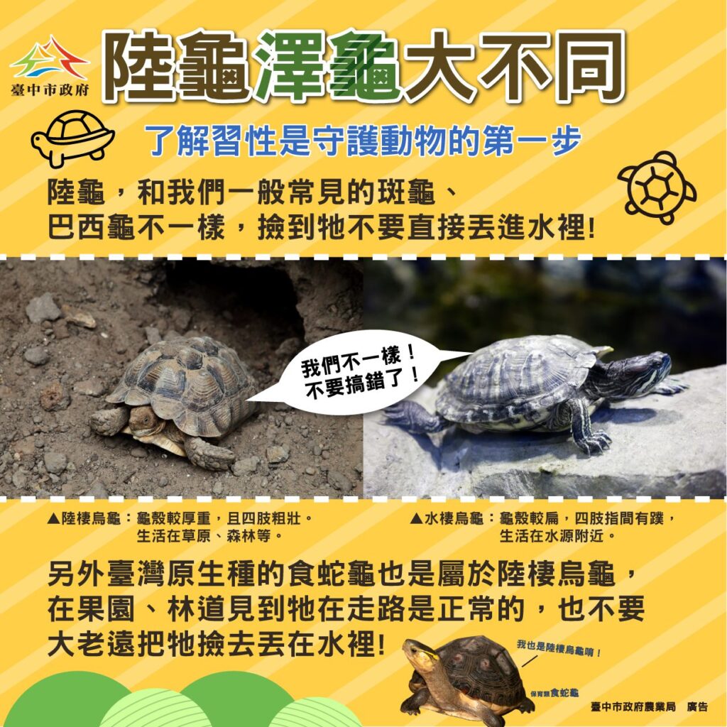 了解習性正確守護野生動物　中市農業局提醒「不干擾、不餵食、不捕捉」