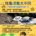 了解習性正確守護野生動物　中市農業局提醒「不干擾、不餵食、不捕捉」
