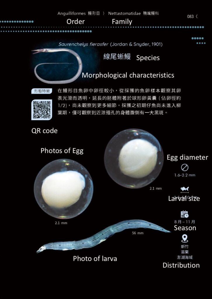 全球首套經dna驗證的魚類早期生活史圖鑑　-《魚大十八變-魚卵及仔稚魚多樣性圖鑑》