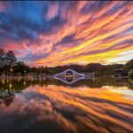 101國際繪畫賽 畫出心中最美公園