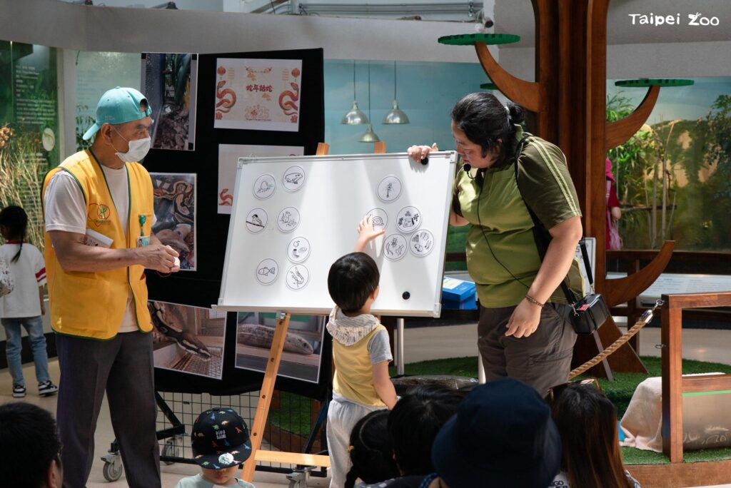 蛇蛇涼一夏！　一起來動物園聆聽蛇的秘密