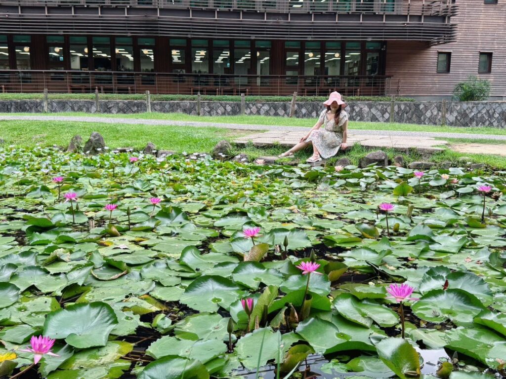 荷與睡蓮誰美？-北投公園一次看