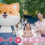 最萌道安大使曝光　紅豆妹與柴語錄為新北宣導停讓文化