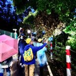 嘉博館《來嘉找蛙生態營》圓滿落幕　學童走進自然成為小小行動家