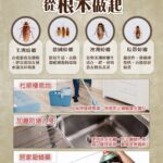 別讓「小強」太猖狂！　防蟑三寶守護居家健康
