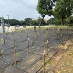 守護原生林相、打造城市綠洲！　中市建設局啟動后里森林公園生態復育工程