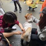 《2025不浪了！》西門義賣市集7/26登場　攜手助浪浪找幸福